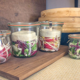 Four jars of vegetables, two large, two small. The larger ones have fermenting weights inside them. Two contain sliced radishes and soybean sprouts, the other two spring onions, red onions and garlic. 