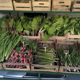 View into a a trailer opened towards the sides. It contains a few shelves filled with wooden boxes containing spring onions, ruccola, mangold, spinach, asparagus and strawberries. Everything is nicely arranged and looks fresh and colorful.