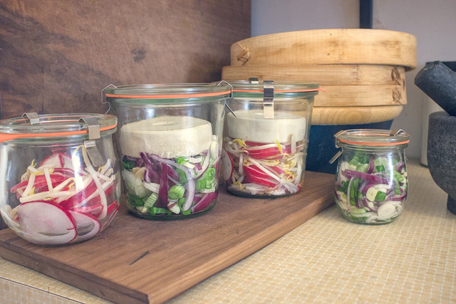 Four jars of vegetables, two large, two small. The larger ones have fermenting weights inside them. Two contain sliced radishes and soybean sprouts, the other two spring onions, red onions and garlic. 