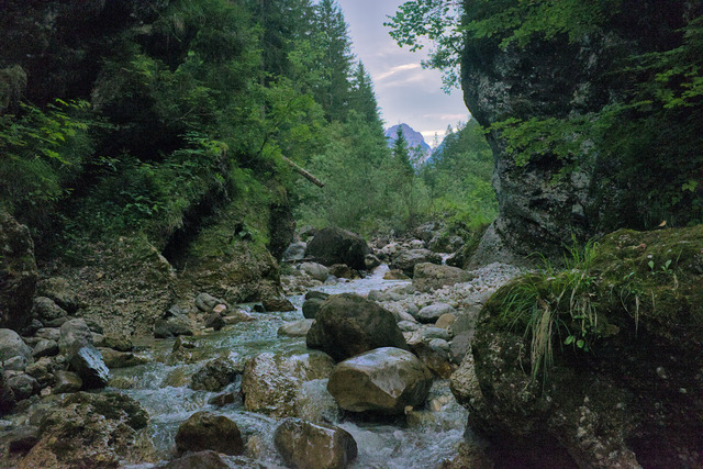 View of a narrow canyon with a small river running through.